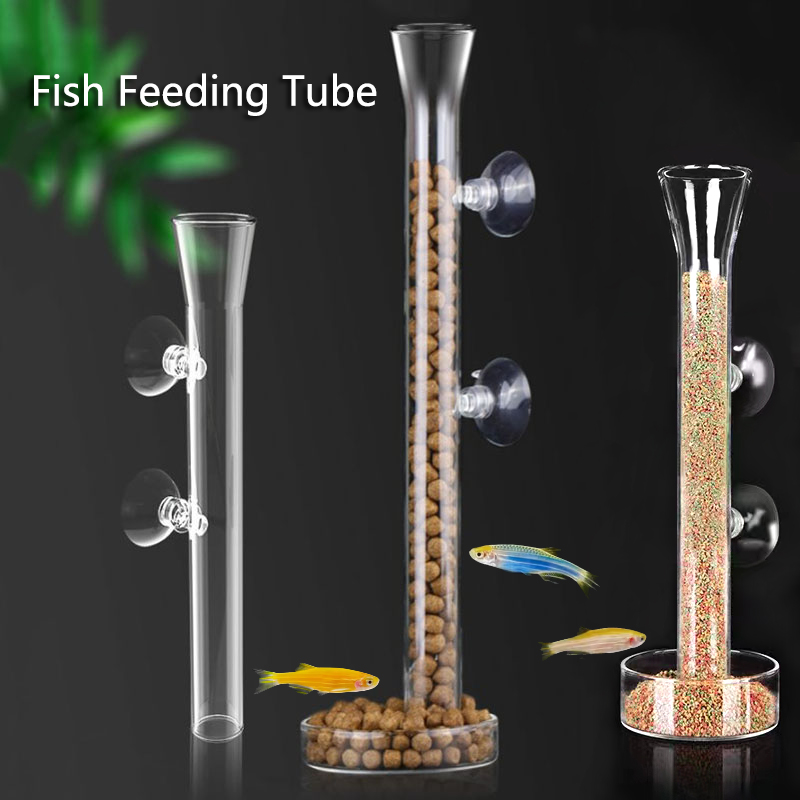 Meal Prep Glass - Glas Aquarium Feeder Buis Schotel Transparant