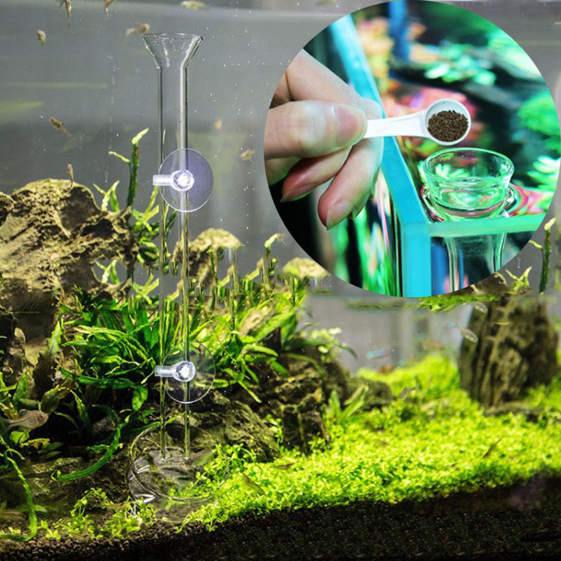 Glas Aquarium Feeder Buis Scho - Meal Prep Glass recensie en prijs