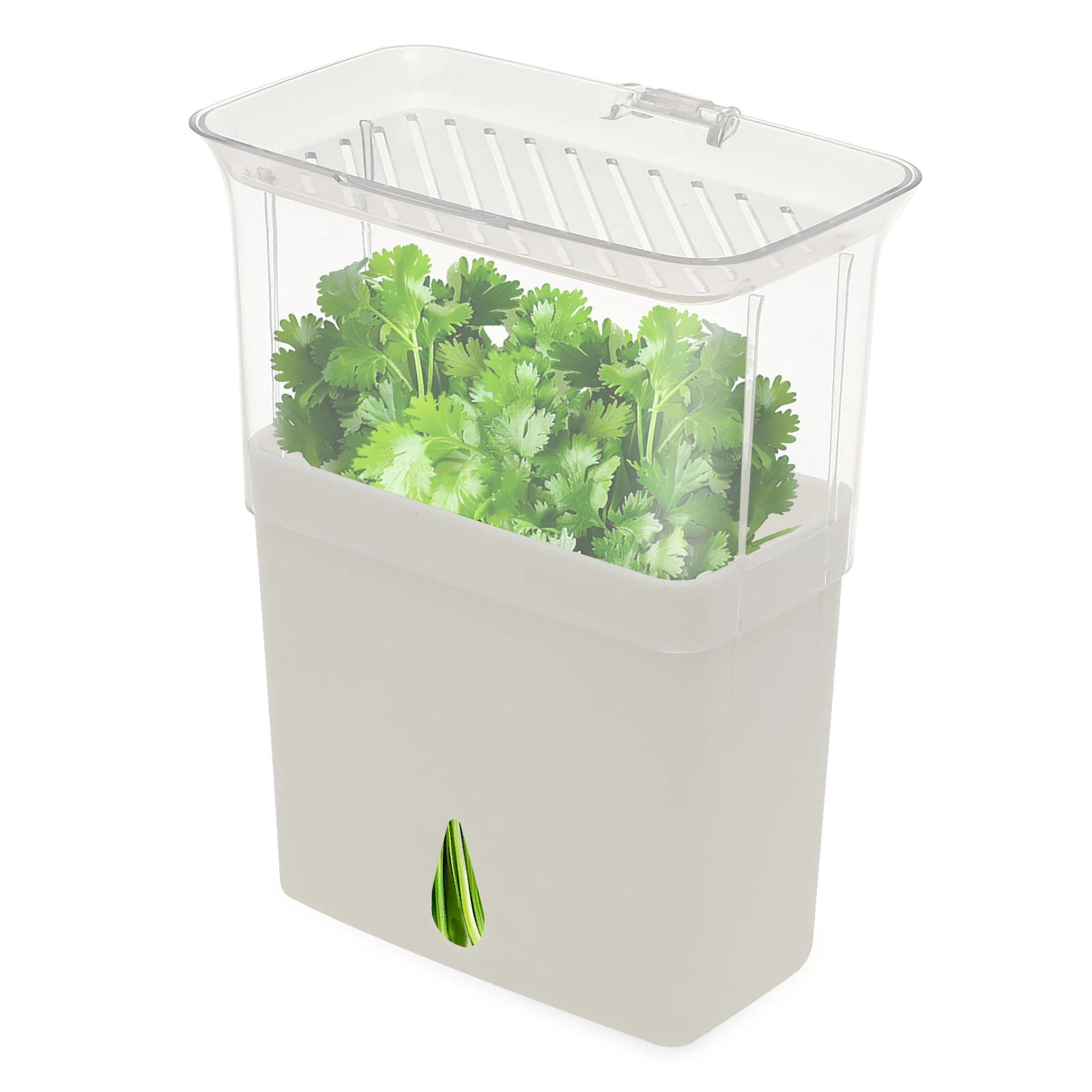 Doorzichtige kruidenbewaarbak, - Herb Keeper Bottle recensie en prijs